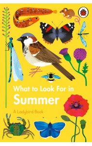 What to Look For in Summer