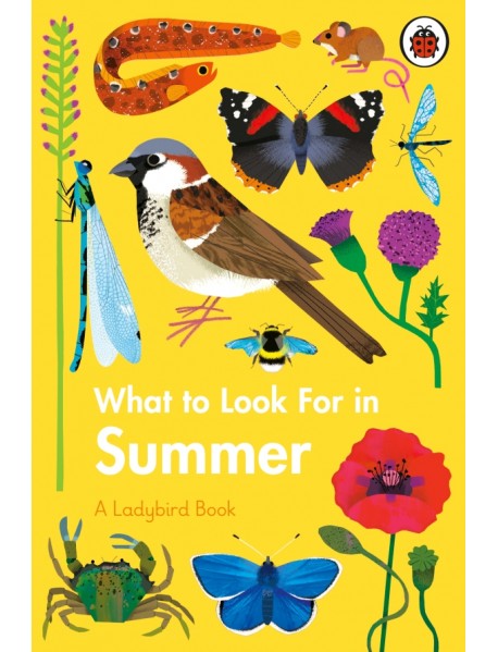 What to Look For in Summer