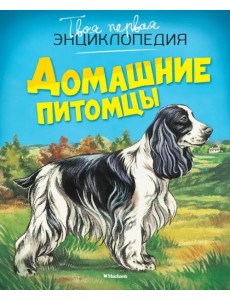 Домашние питомцы