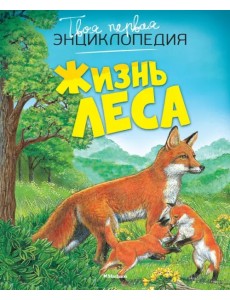 Жизнь леса