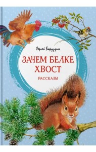 Зачем белке хвост. Рассказы