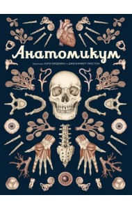 Анатомикум