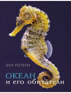 Океан и его обитатели Океан и его обитатели