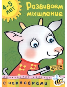 Развиваем мышление. Для детей 4-5 лет