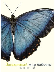 Загадочный мир бабочек Загадочный мир бабочек