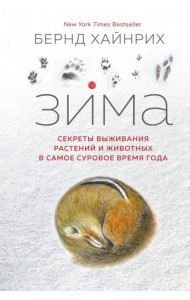 Зима. Секреты выживания растений и животных в самое суровое время года