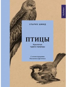 Птицы. Крылатые чудеса природы