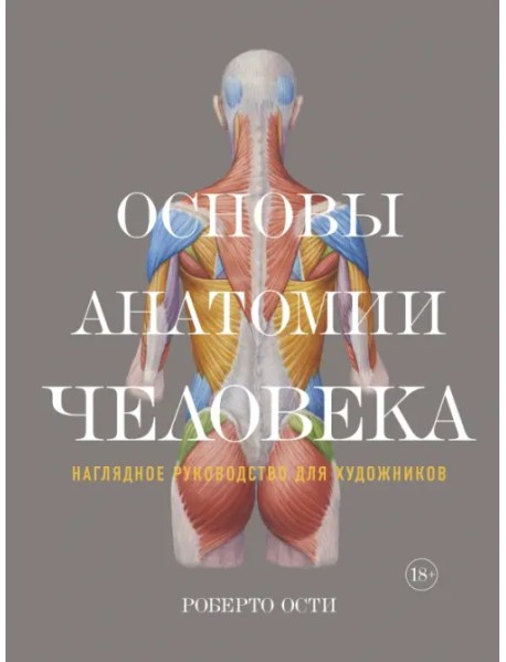 Основы анатомии человека. Наглядное руководство для художников