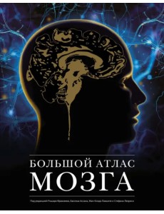 Большой атлас мозга Большой атлас мозга