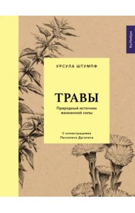 Травы. Природный источник жизненной силы