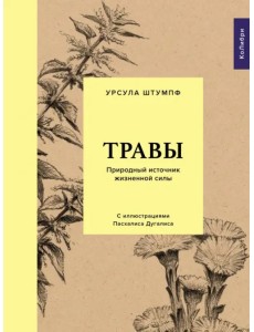 Травы. Природный источник жизненной силы