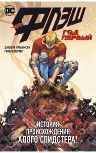 Флэш. Год первый