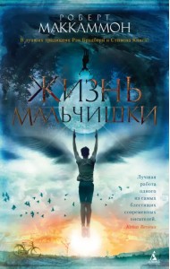 Жизнь мальчишки