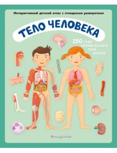 Тело человека. Интерактивный детский атлас с откидными разворотами Тело человека. Интерактивный детский атлас с откидными разворотами