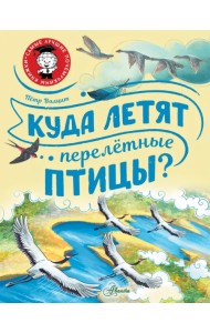 Куда летят перелётные птицы?