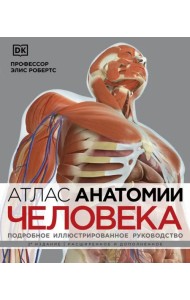 Атлас анатомии человека. Подробное иллюстрированное руководство