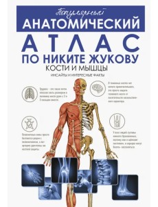 Популярный анатомический атлас по Никите Жукову. Кости и мышцы. Инсайты и интересные факты