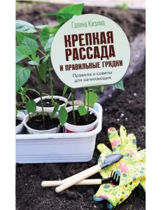 Крепкая рассада и правильные грядки. Правила и советы для начинающих