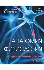 Анатомия. Физиология. Фундаментальные основы