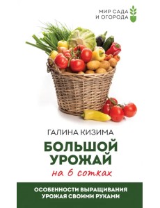 Большой урожай на 6 сотках. Особенности выращивания урожая своими руками