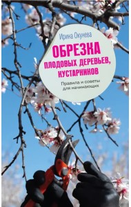 Обрезка плодовых деревьев, кустарников. Правила и советы для начинающих