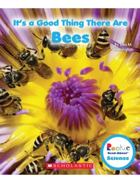 It's a Good Thing There Are Bees