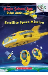 Satellite Space Mission