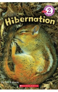 Hibernation. Level 2