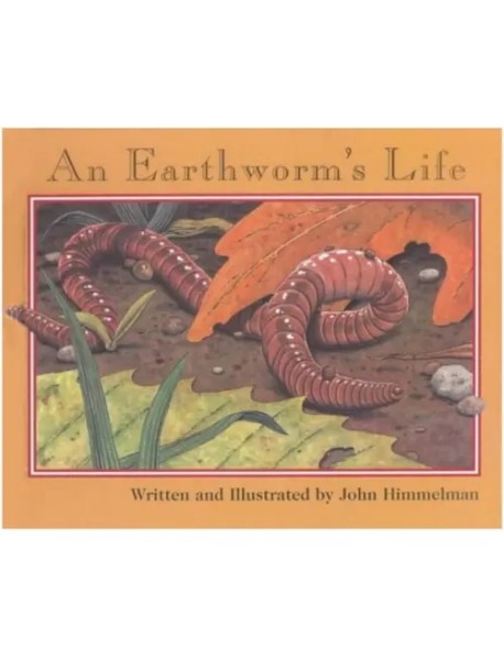 An Earthworm's Life