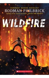 Wildfire