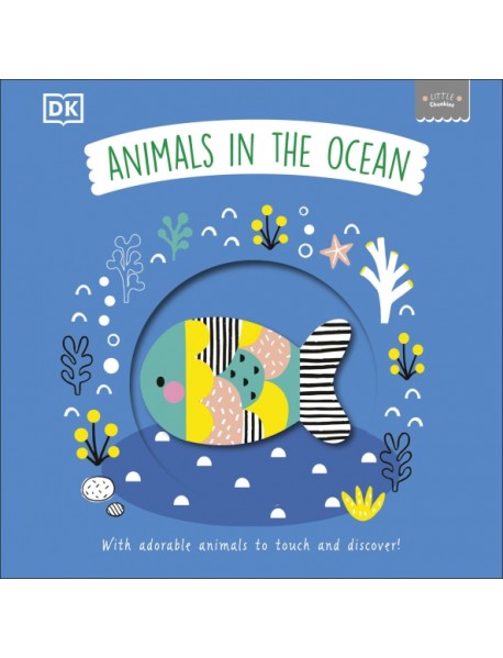 Animals in the Ocean