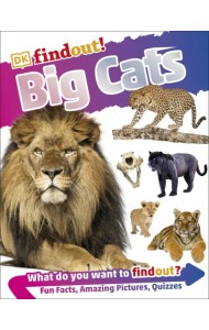 Big Cats