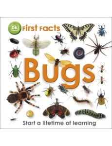 First Facts Bugs