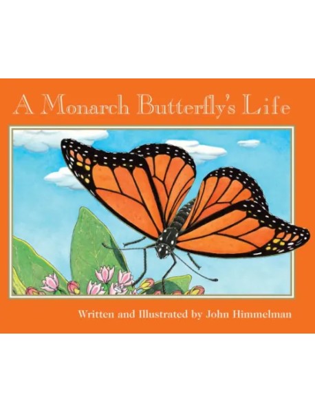 A Monarch Butterfly's Life