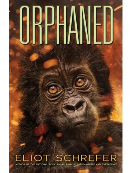 Orphaned