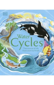 Water Cycles