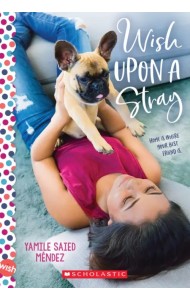 Wish Upon a Stray