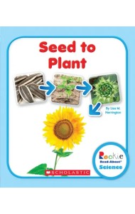 Seed to Plant