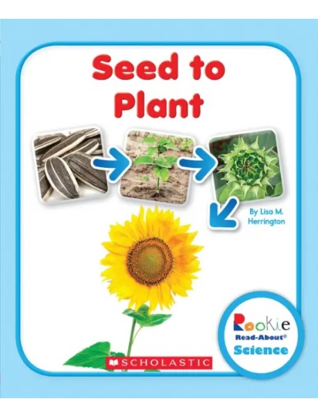 Seed to Plant