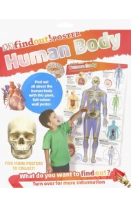 DKfindout! Human Body Poster