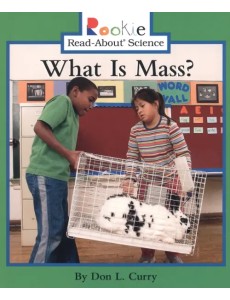 What Is Mass?