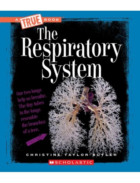 The Respiratory System