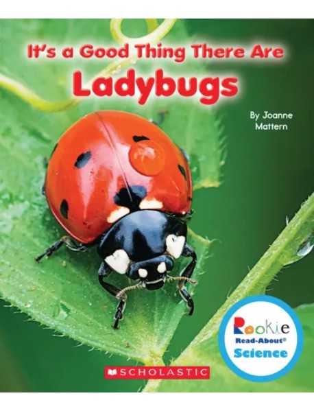 It's a Good Thing There Are Ladybugs