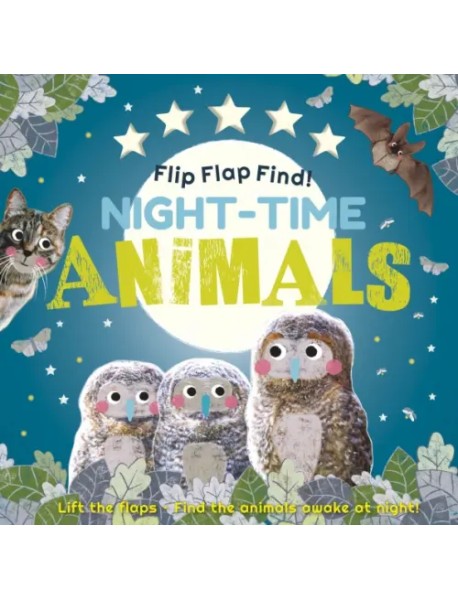 Flip Flap Find! Night-time Animals