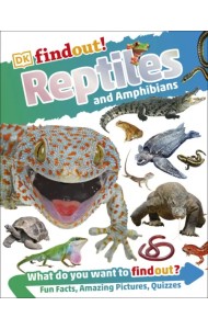 Reptiles and Amphibians