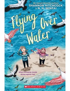 Flying Over Water Flying Over Water