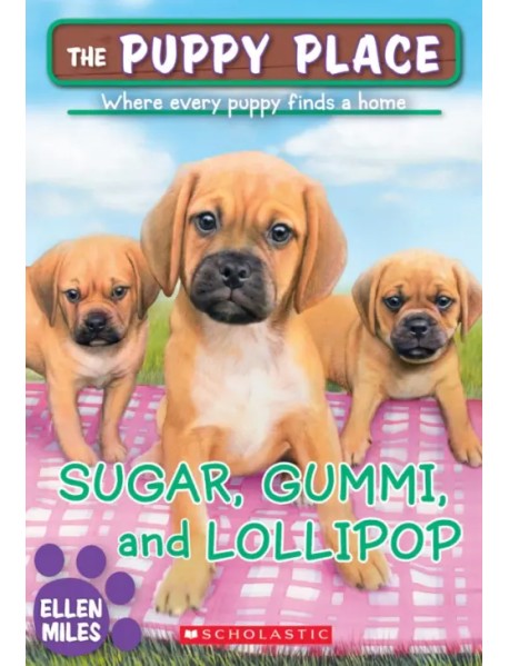 Sugar, Gummi and Lollipop