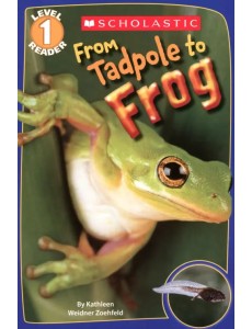 From Tadpole to Frog. Level 1