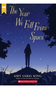 The Year We Fell from Space