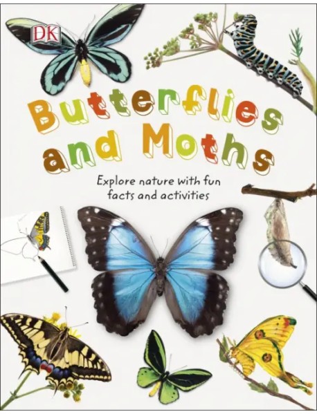 Butterflies and Moths